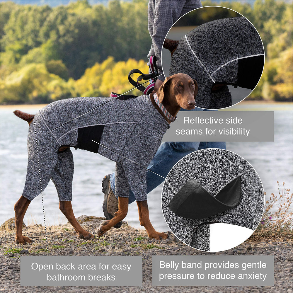 Kurgo Stowe Base Layer reflective seams enhance visibility during dusk or dawn walks.