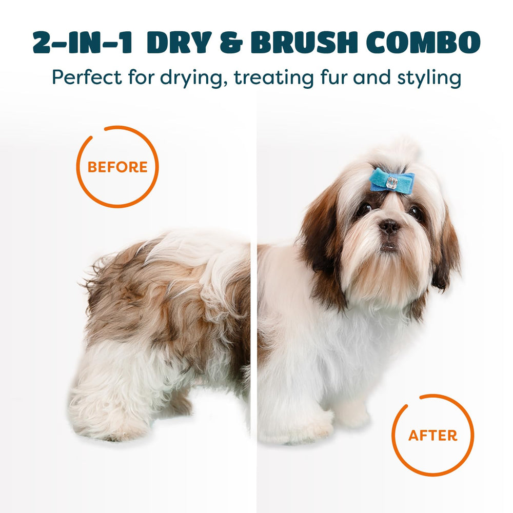 KUUBIA lightweight portable dog dryer fits in a bag for travel
