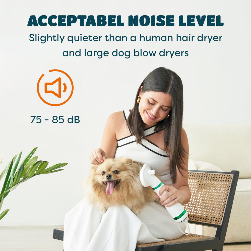 KUUBIA travel-friendly grooming dryer enables quick sessions away from home