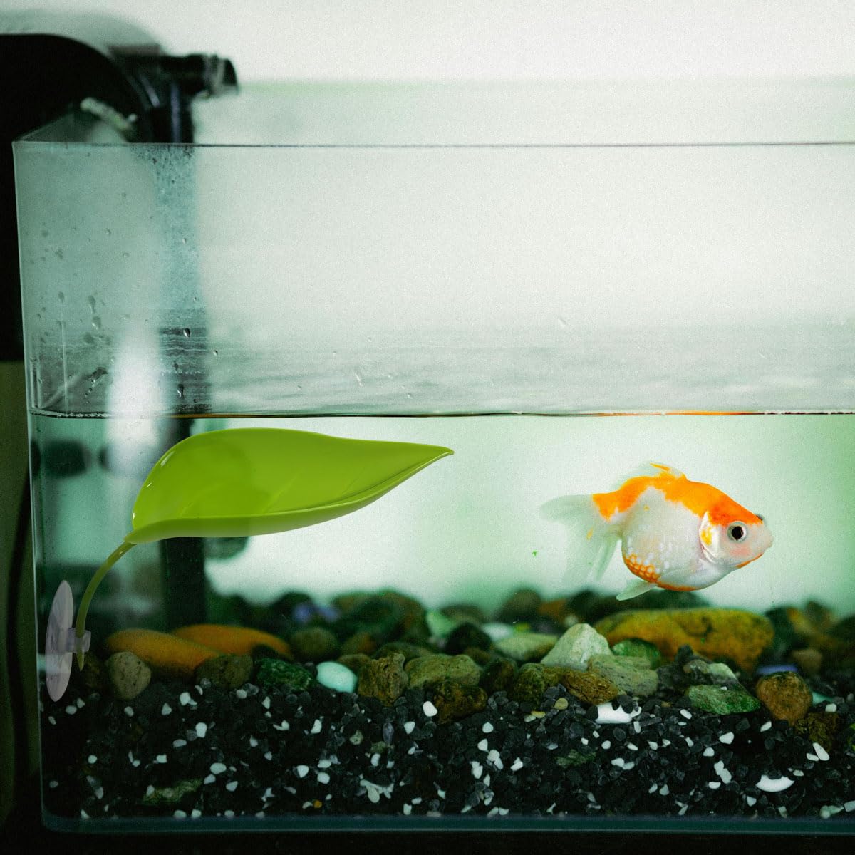 KVZVK suction cups terrarium attachment ensures secure leaf placement
