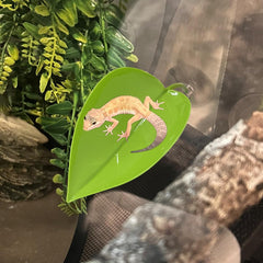 KVZVK tree frog terrarium decor green leaf enhances arboreal habitat