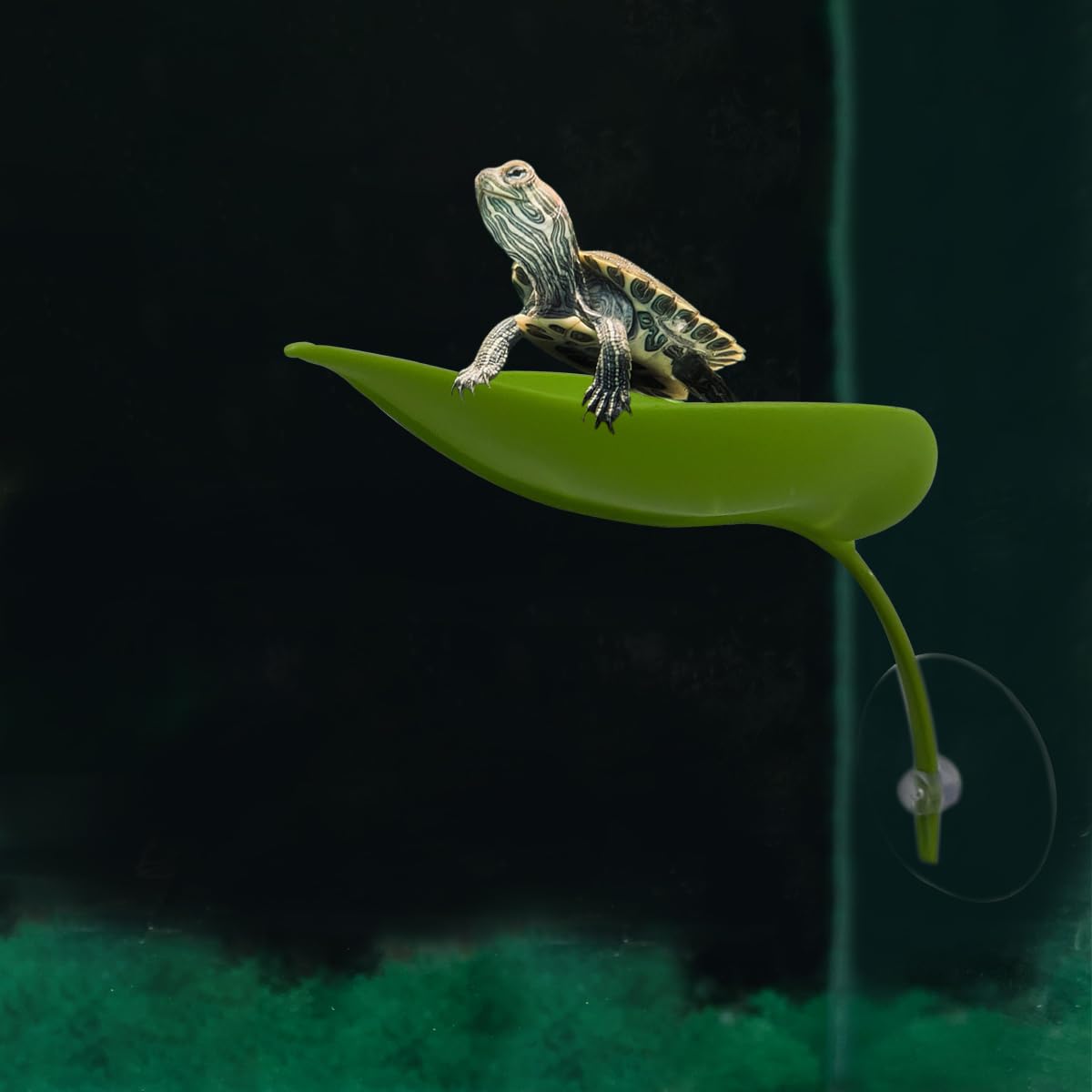 KVZVK turtle bearded dragon compatible leaf decoration for enrichment