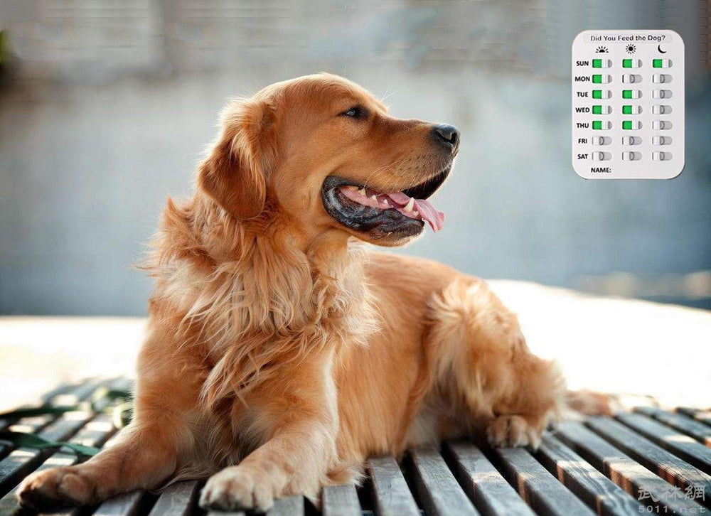 Kwispel organized pet care reminder keeps daily routines in check.