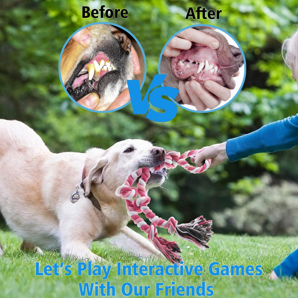 Kwispel rope toy tug-of-war action showcases interactive play for dogs and owners.