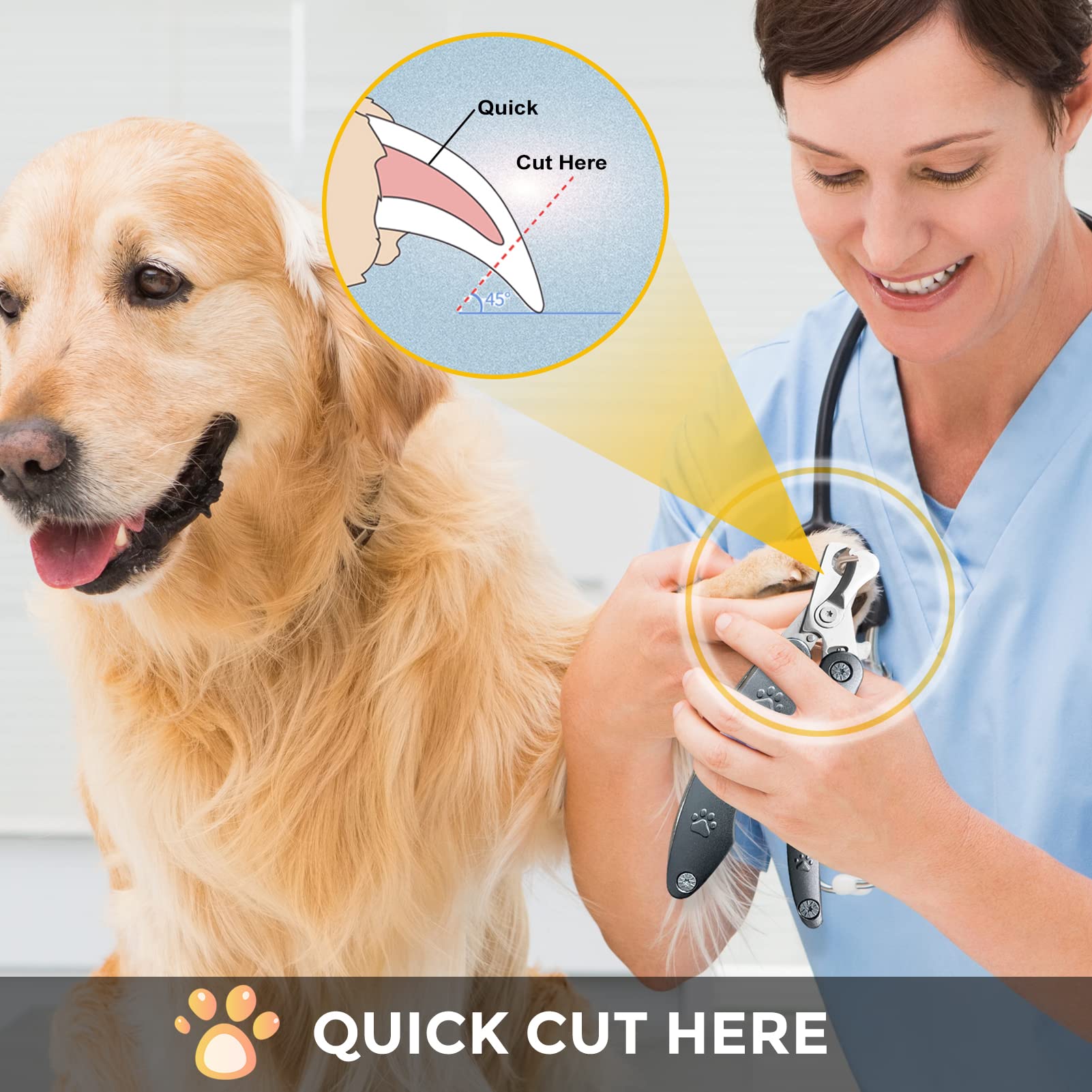 KXCDTECH in-use photo conveys calm grooming for large dogs.