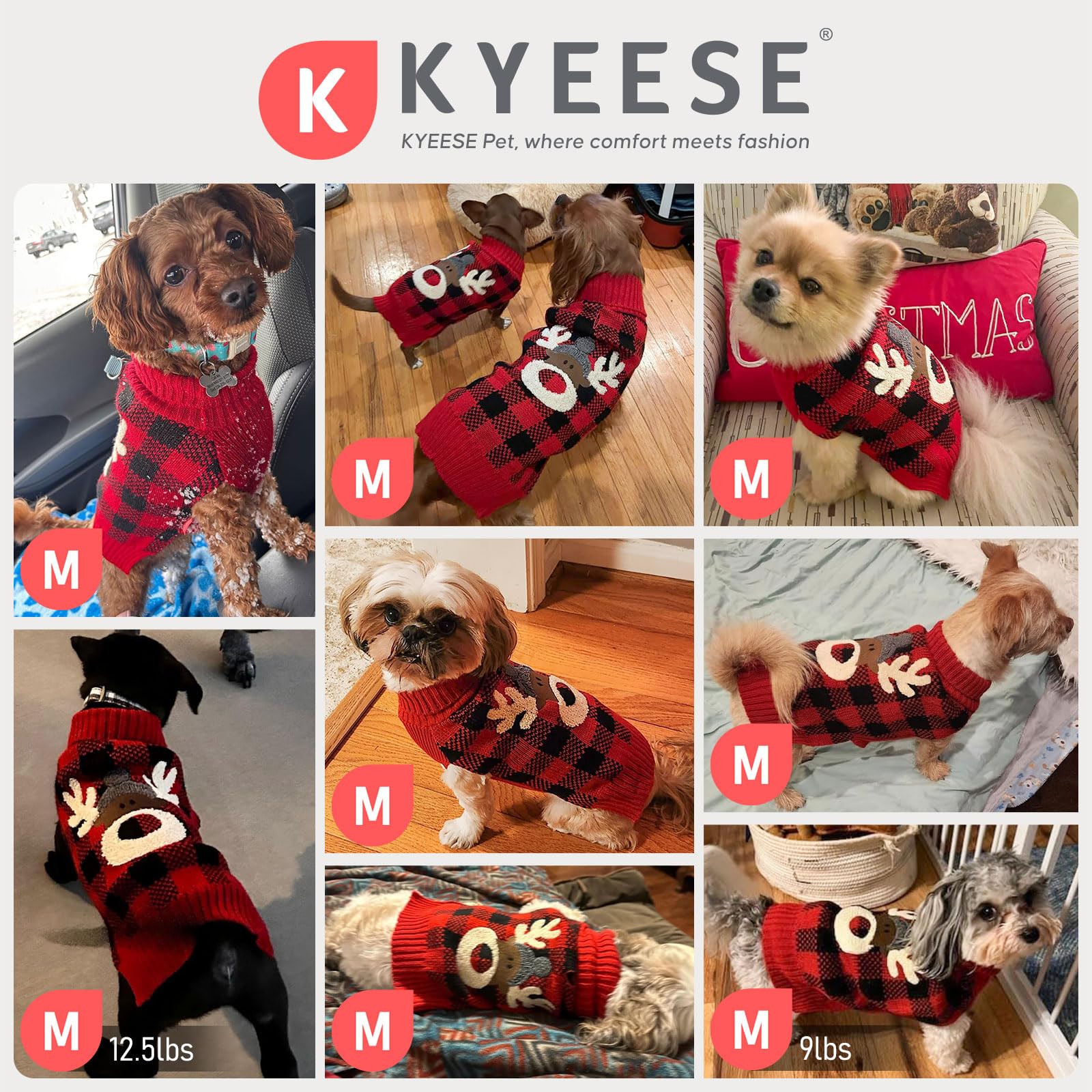 KYEESE dog wearing sweater during a chilly outdoor stroll.
