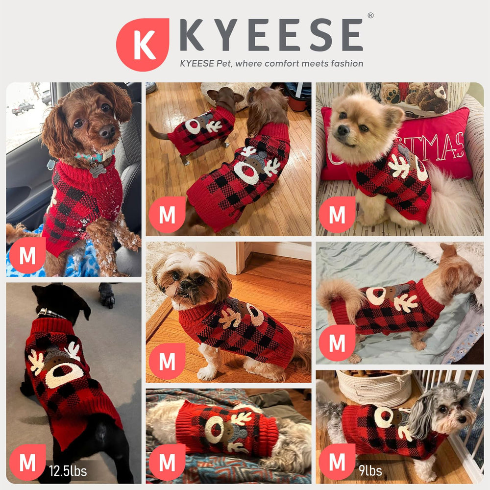 KYEESE dog wearing sweater during a chilly outdoor stroll.