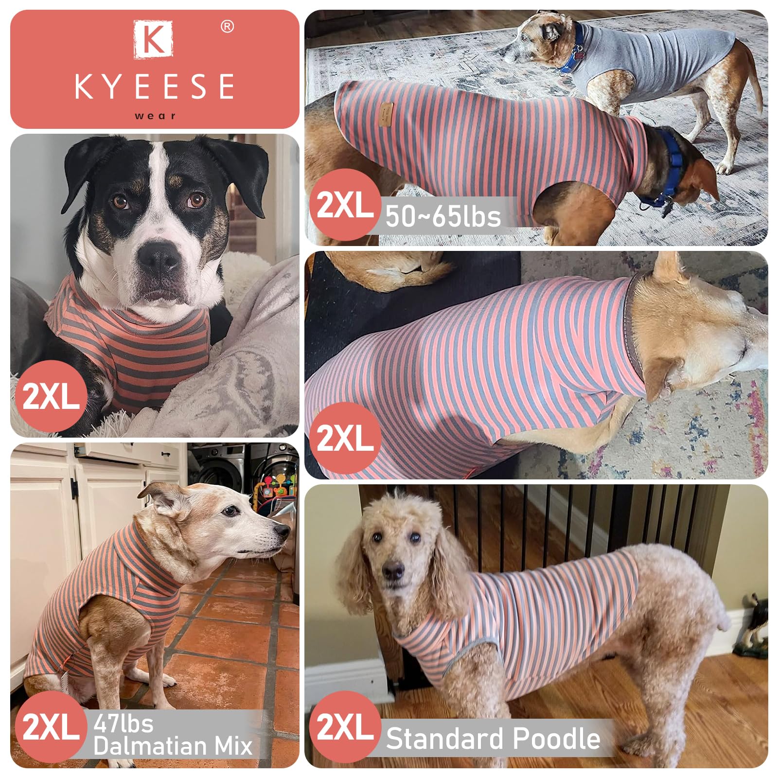 KYEESE dog sweater measurement guide graphic emphasizes accurate size selection.