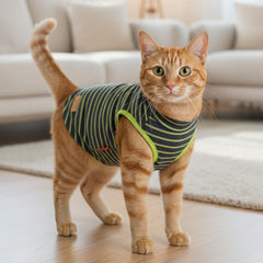 KYEESE 2Pack dog sweater back view highlights easy pull on design.
