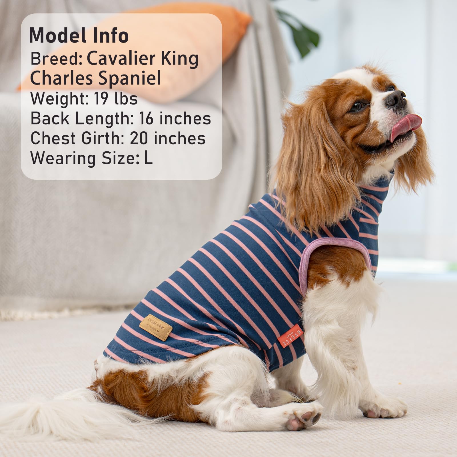 KYEESE 2Pack dog sweater fabric close-up shows skin-friendly velvet material