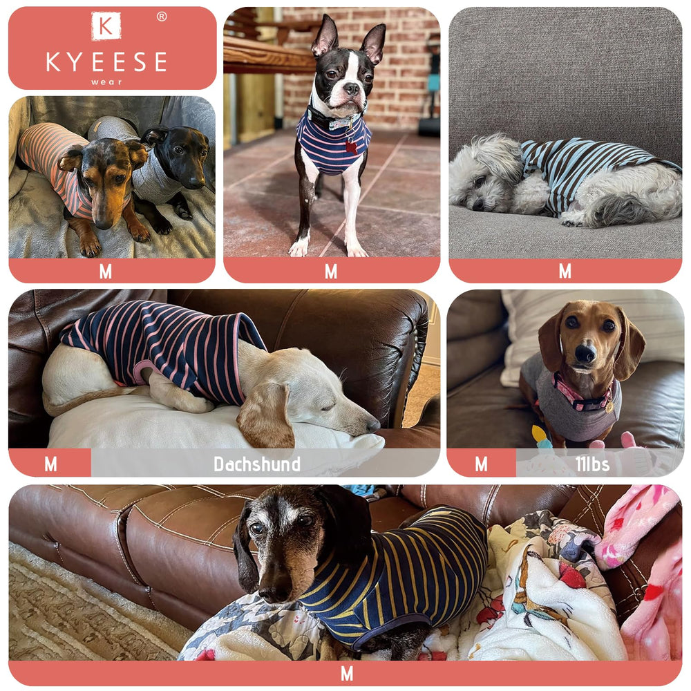 KYEESE high-cut belly and elastic hem prevent potty mess