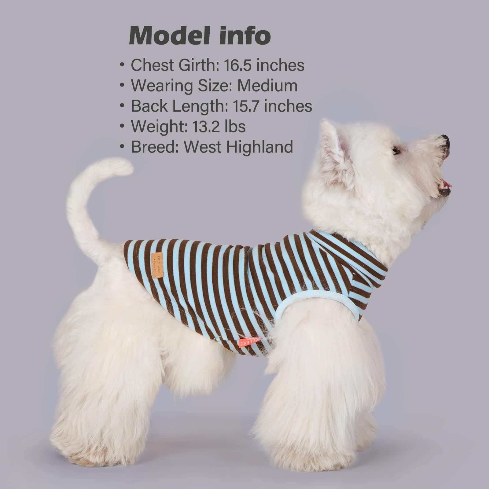 KYEESE 2-pack packaging offers versatile color options for quick outfit changes
