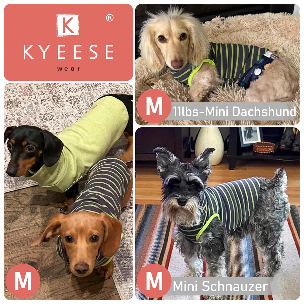 KYEESE 2Pack dog sweater two styles in package offer variety.
