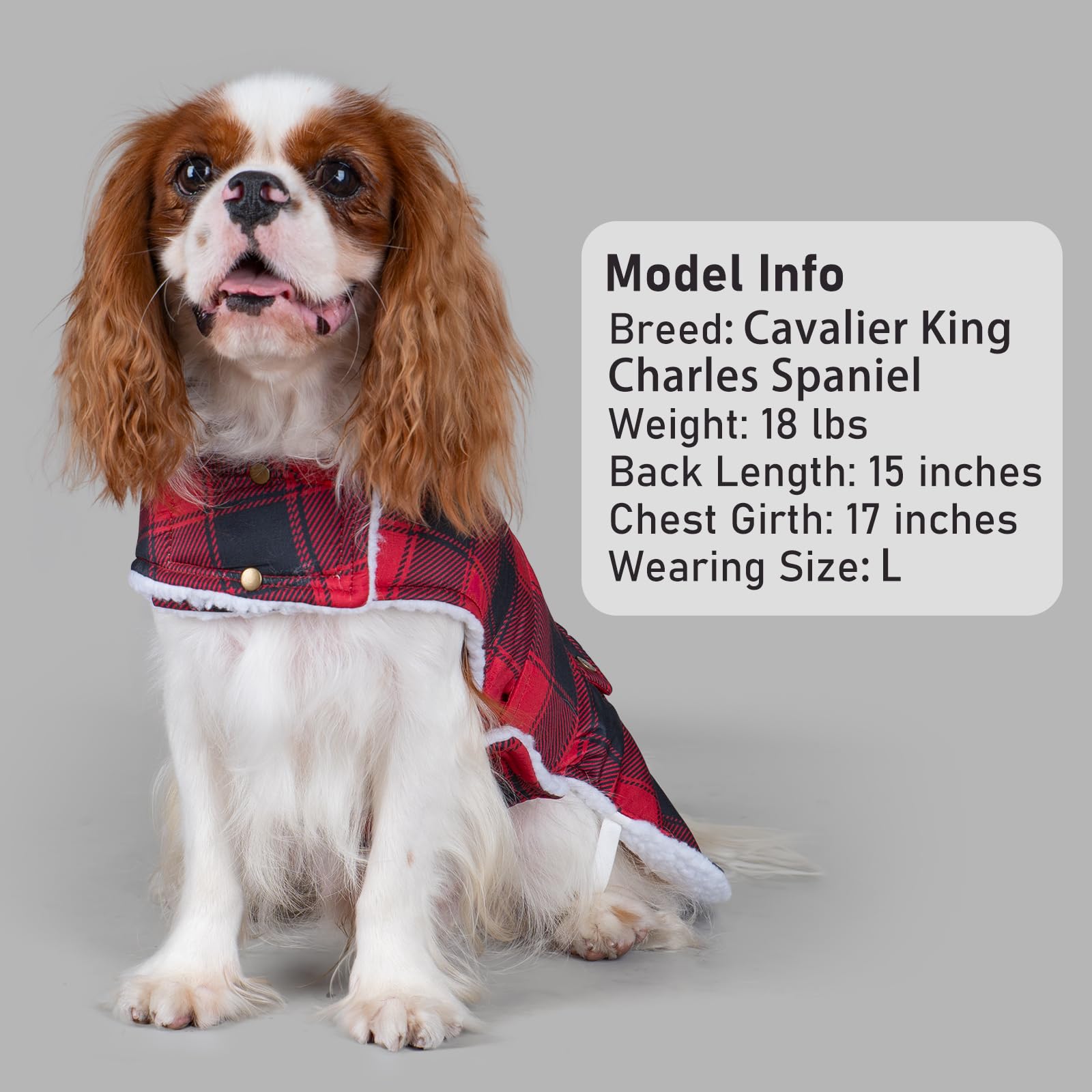 KYEESE dog coat antique button decor adds fashionable detail