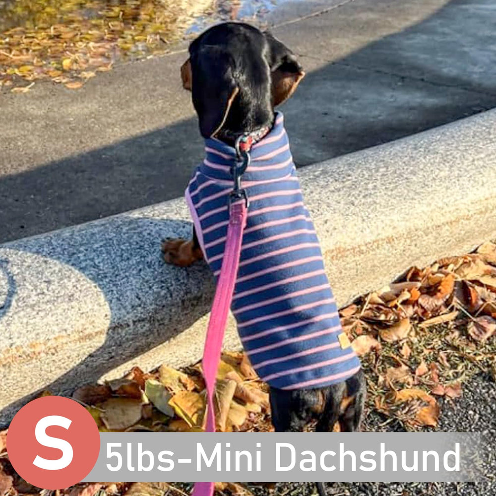 KYEESE dog coat in action during outdoor walk demonstrates mobility