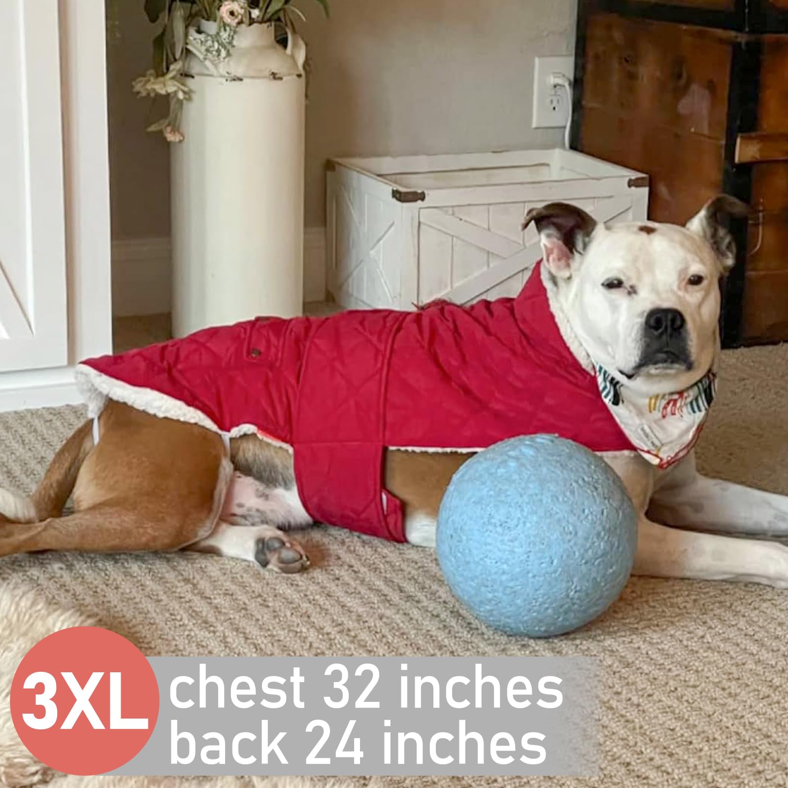 KYEESE dog coat in snowy setting demonstrates reliable winter protection.