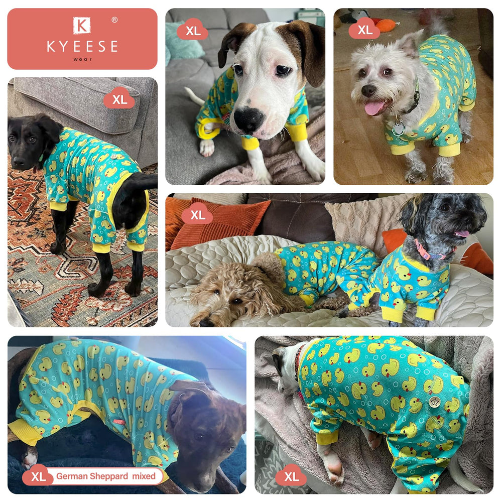 KYEESE dog-onesie provides extra coverage for sensitive skin areas on cooler days.
