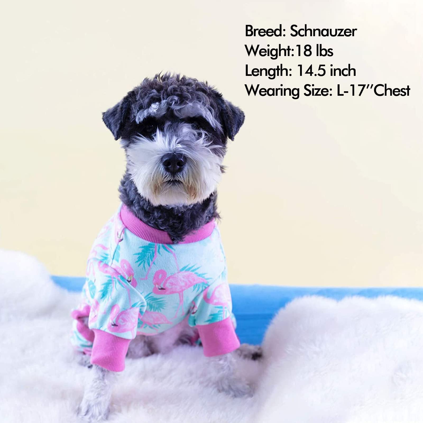 KYEESE dog pajamas may help reduce shedding around furniture and beds.