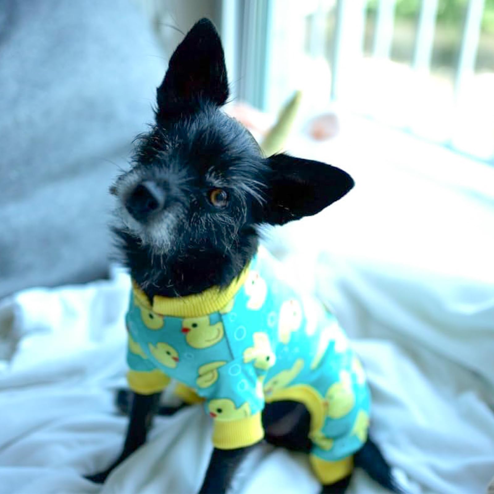 KYEESE dog pajamas machine washable for simple care.