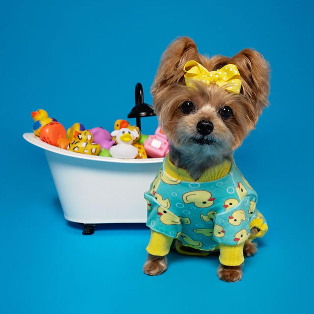 KYEESE dog pajamas warm days use keeps dog comfortable indoors.
