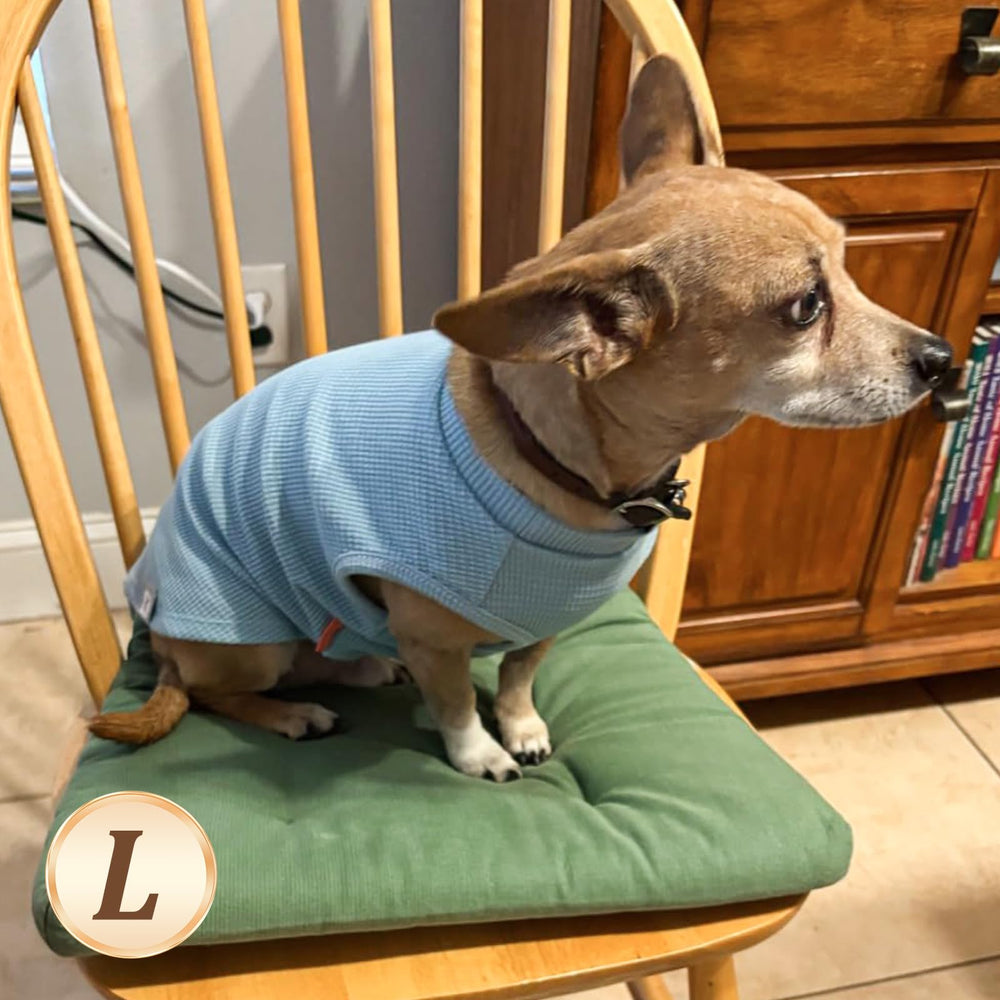 KYEESE durable stitching on dog shirt indicating long-lasting wear.
