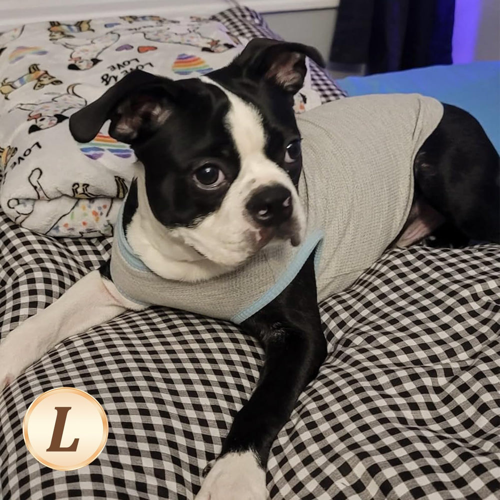 KYEESE machine-washable dog shirt ready for everyday adventures.