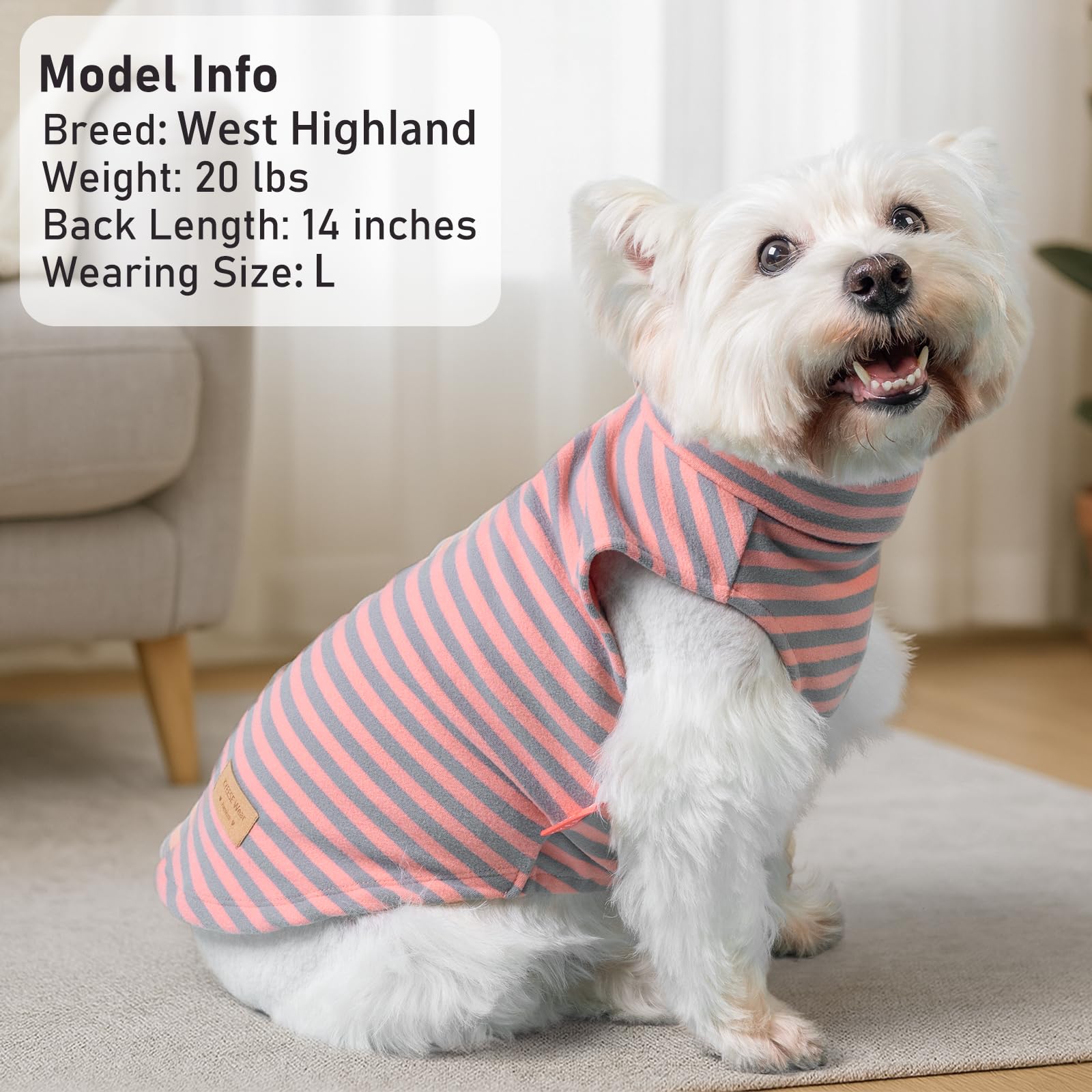 KYEESE dog sweater high-cut belly detail enables easy potty breaks.