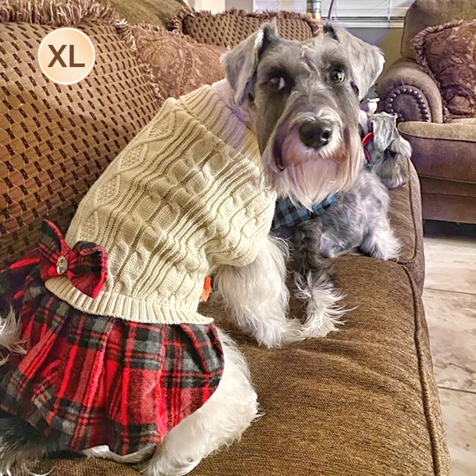 KYEESE dog sweater care and wash demonstrates easy maintenance
