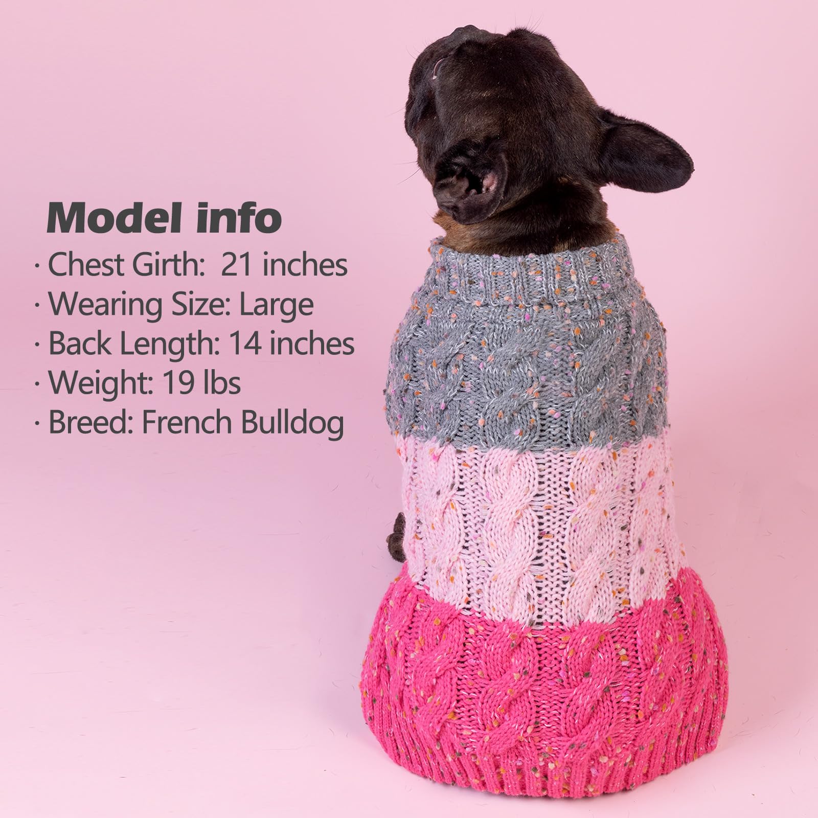 Kyeeese pink color-block sweater worn by small dog for comfort.