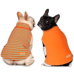 KYEESE dog sweater front view in 2-pack provides soft, stretchy comfort for small dogs.