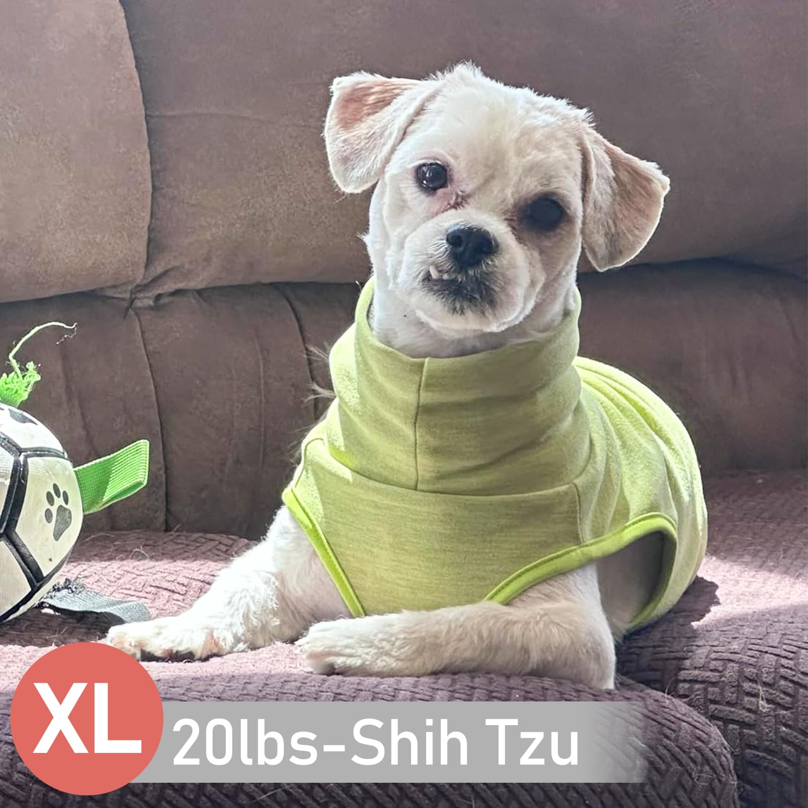 KYEESE dog sweater high belly cut design aids cleaner potty breaks.