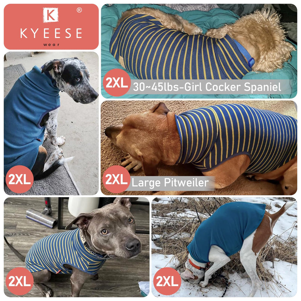 KYEESE dog sweater high-cut belly elastic for easy potty breaks