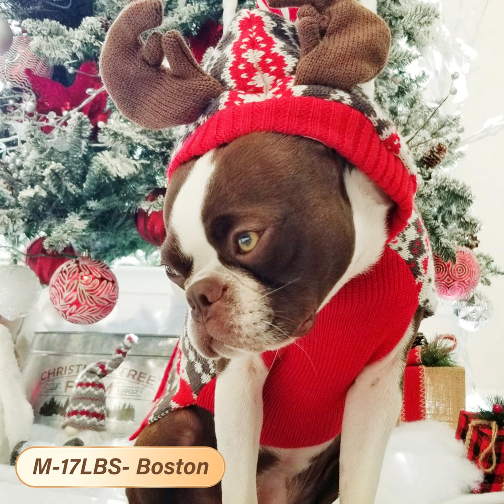 Kyeeese moose hood detail adds playful holiday flair for photos