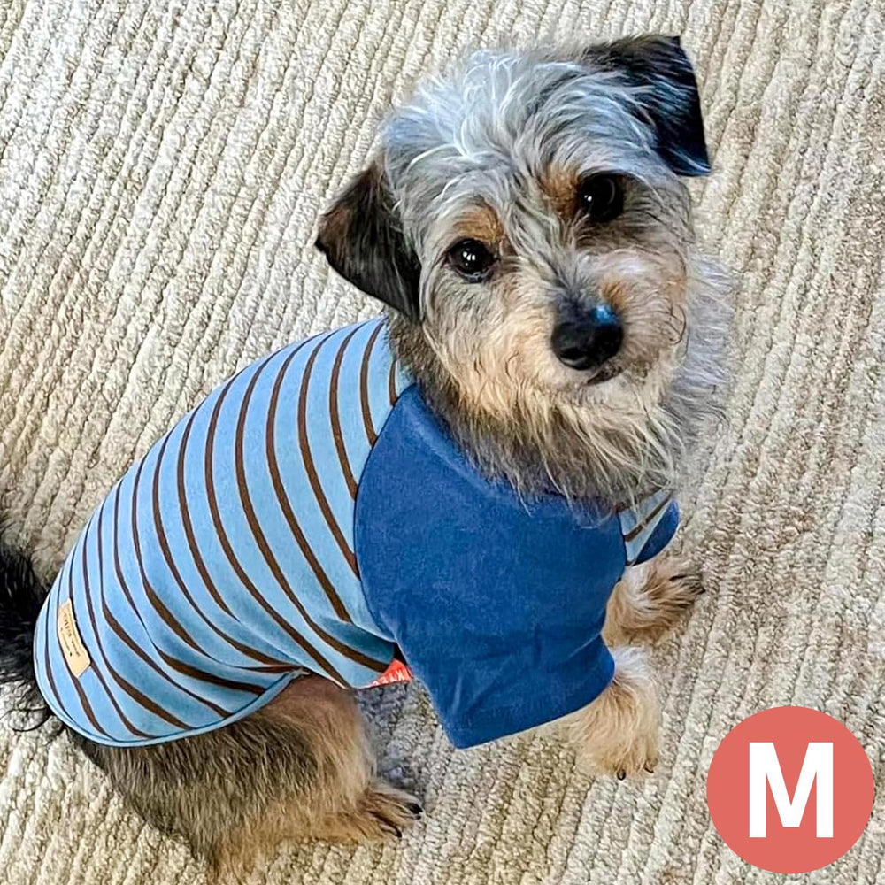 KYEESE dog sweater ideal for indoor comfort and chilly outdoor strolls
