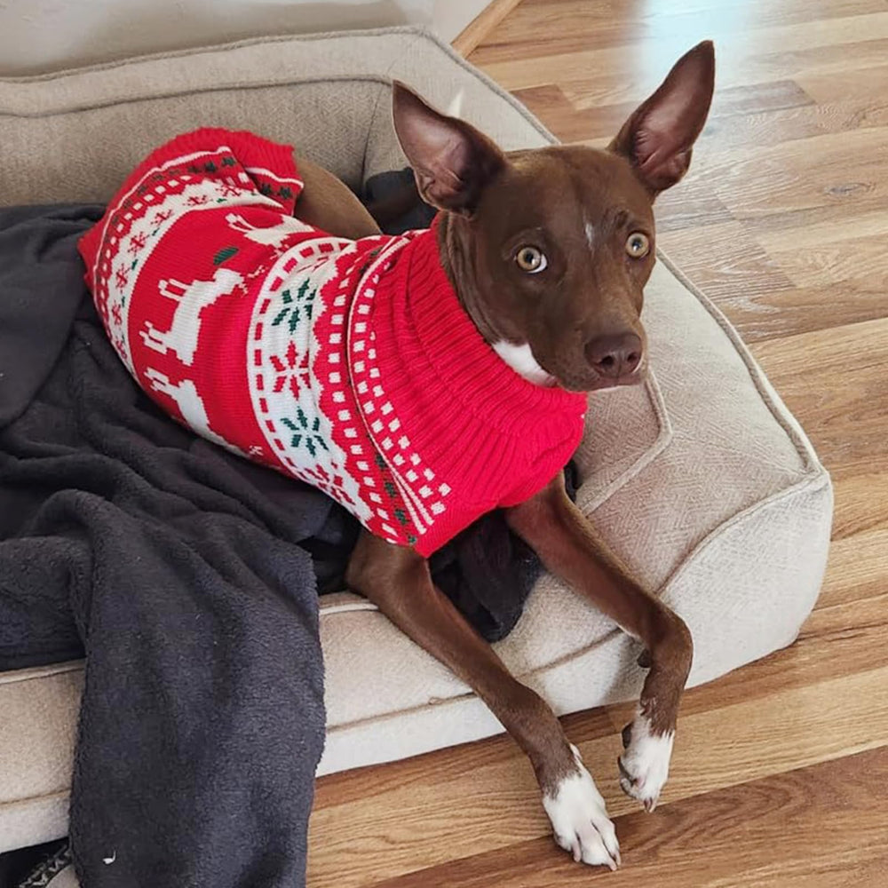 KYEESE model wearing sweater shows fit and festive style.