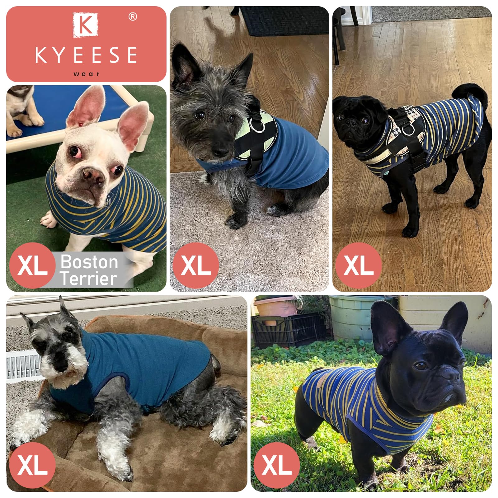 KYEESE dog sweater worn by a dog demonstrating free movement and comfort.