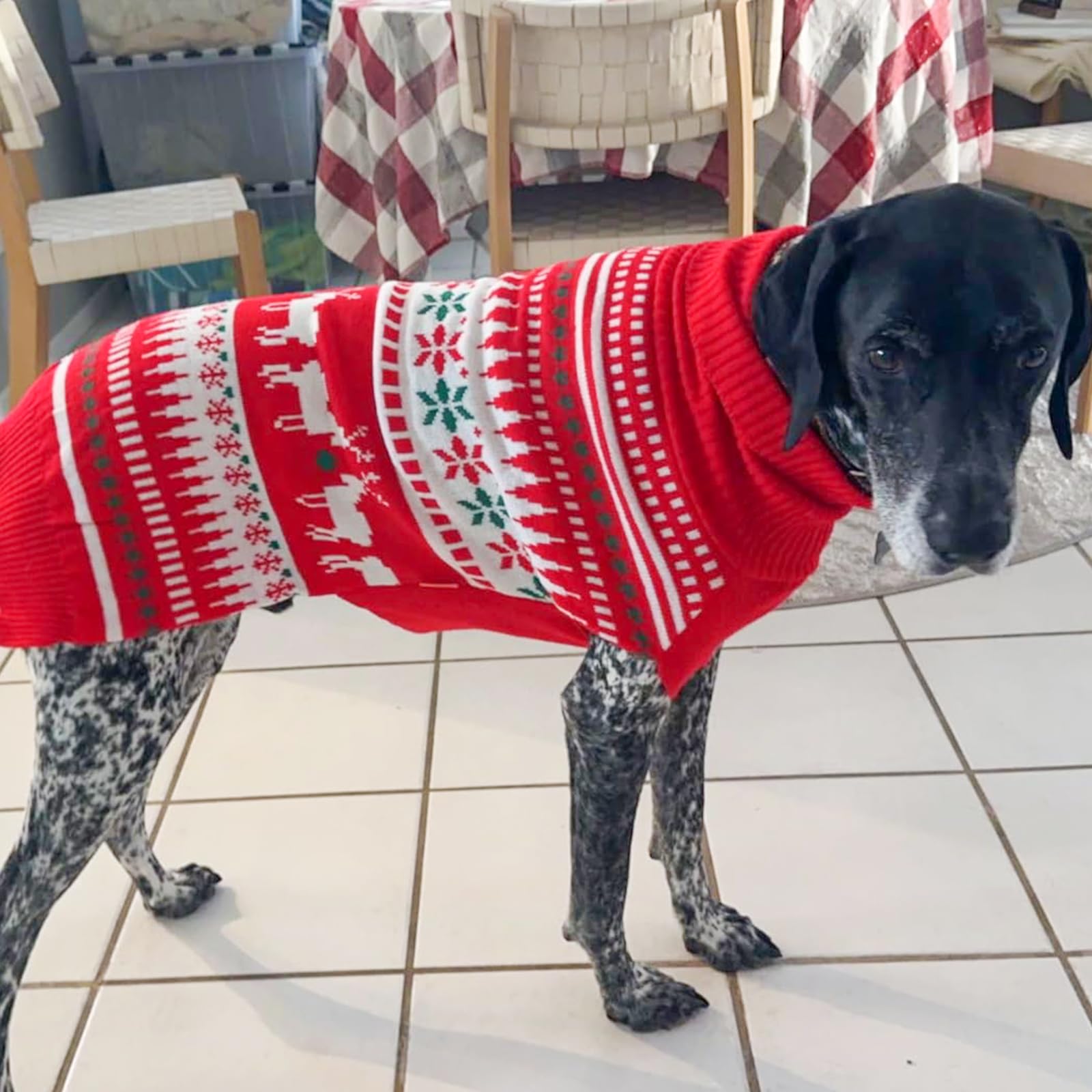KYEESE size guide helps find the right fit for growing dogs