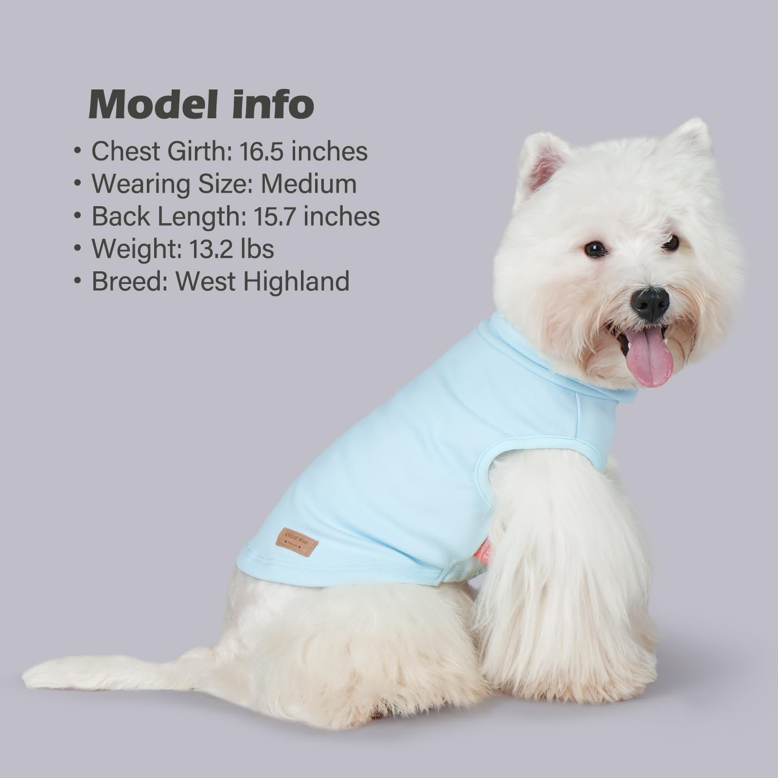 KYEESE size-guide image helps choose the right back length and chest girth.