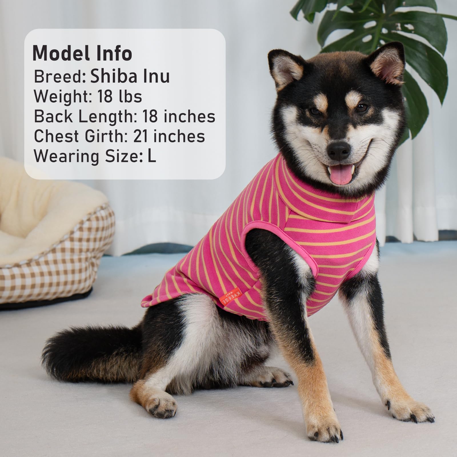 KYEESE solid-color dog sweater image offers versatile winter wear