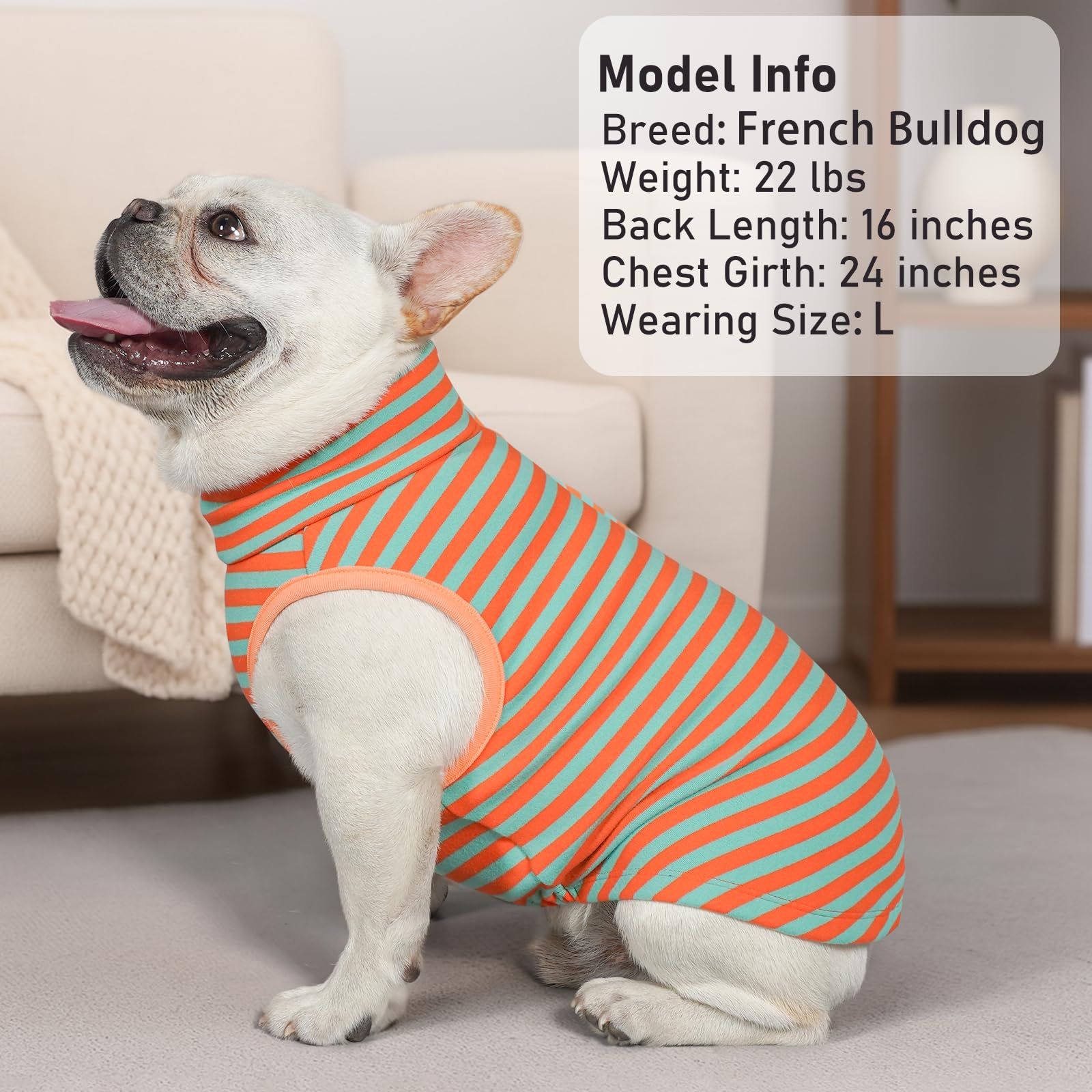 KYEESE dog sweater indoor-wear demo demonstrates comfortable lounge wear