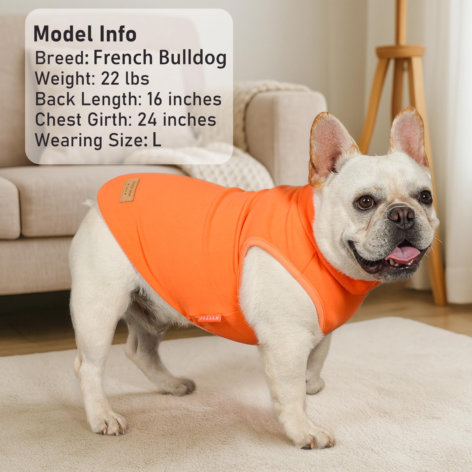 KYEESE dog sweater outdoor-layer-ready image illustrates base layer for chilly walks
