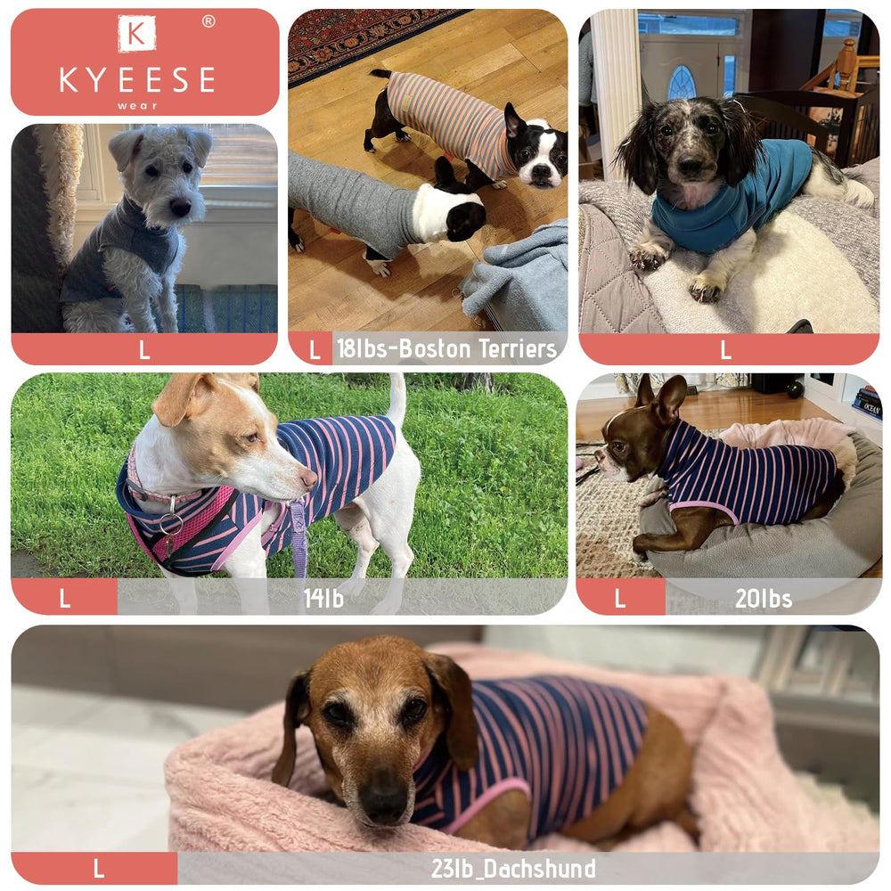 KYEESE dog sweater two-pack package emphasizes value and variety
