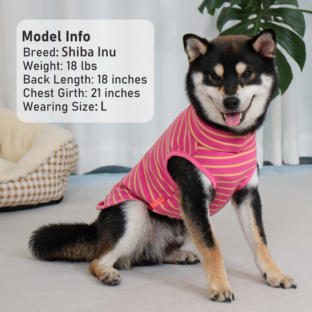 Kyeeese indoor-outdoor wear for cold-weather dog walks