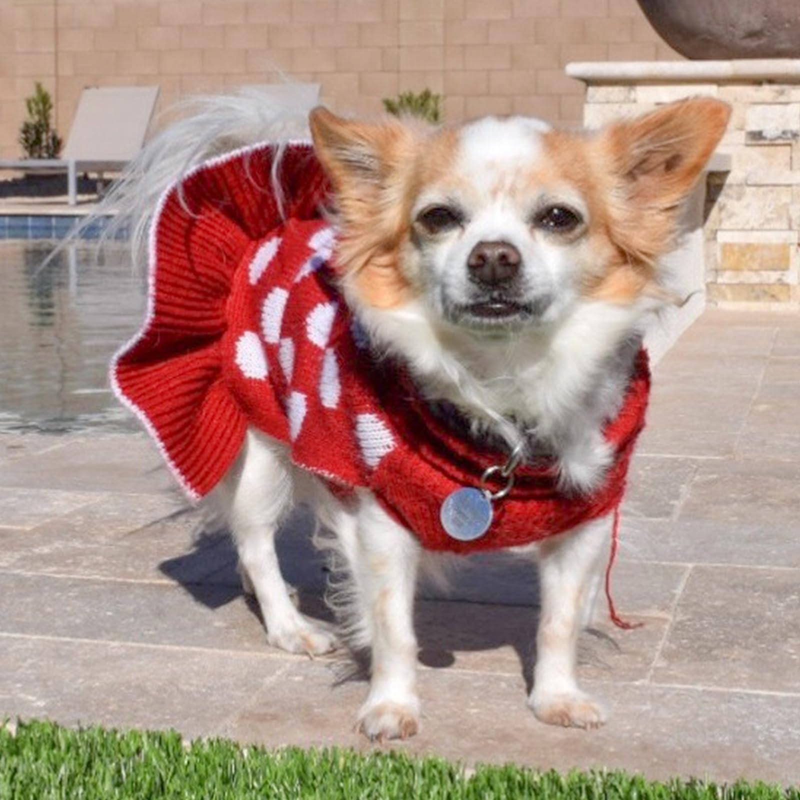 Kyeeese leash hole feature simplifies leash attachment without removing the sweater.
