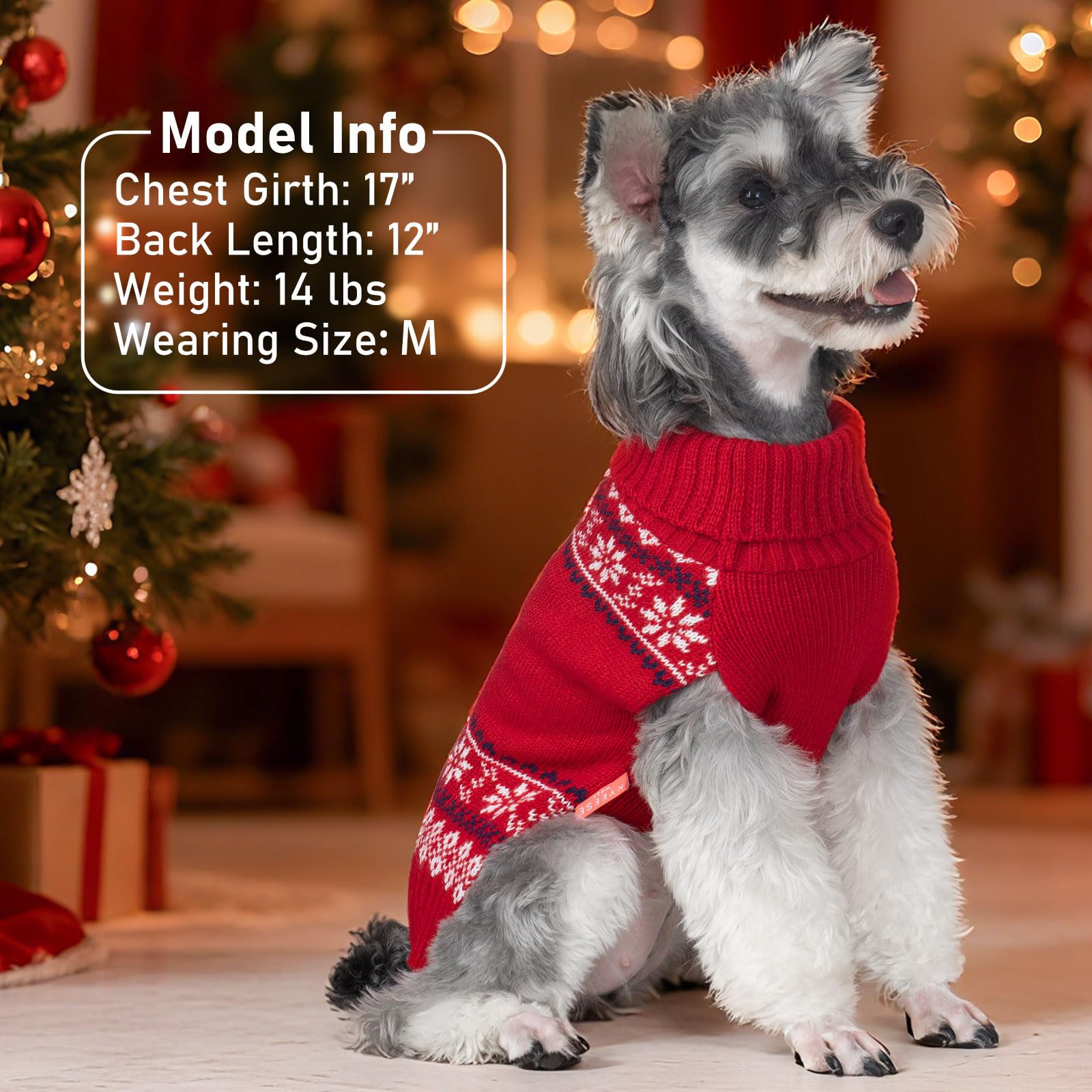 Kyeeese size guide shot helps measure chest and back length accurately.