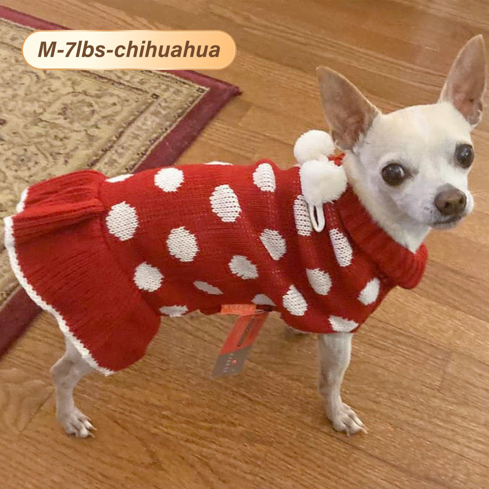 Kyeeese small-dog photoshoot outfit for cute holiday moments.