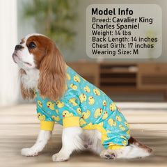 KYEESE velvet-soft dog pajamas offer flexible comfort for lounging and short walks.