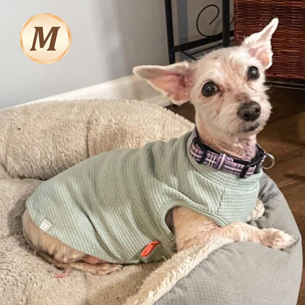 KYEESE waffle dog shirt striped front view for stylish small dogs.