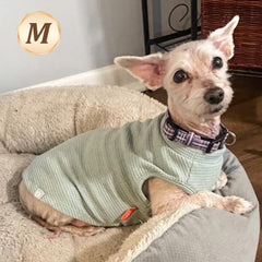 KYEESE waffle dog shirt striped front view for stylish small dogs.