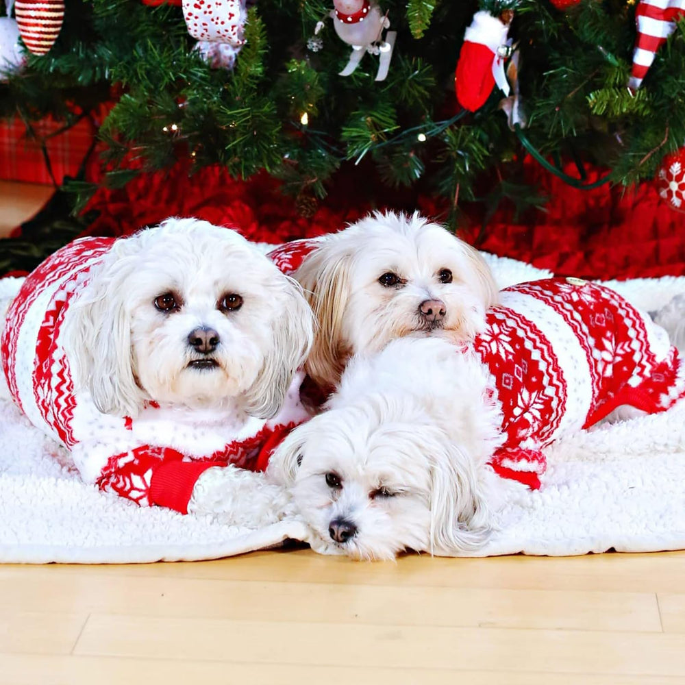 KYEESE holiday photoshoot ready pajama adds festive charm
